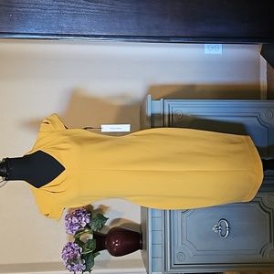 NWT 🎀 Calvin Klein Dress